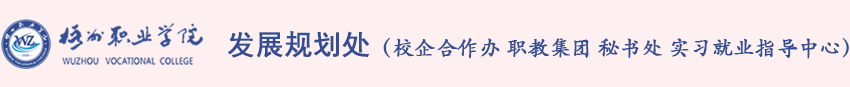 发展规划处校企合作办职教集团秘书处实习就